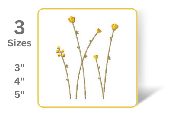 Flowers on Vine Review